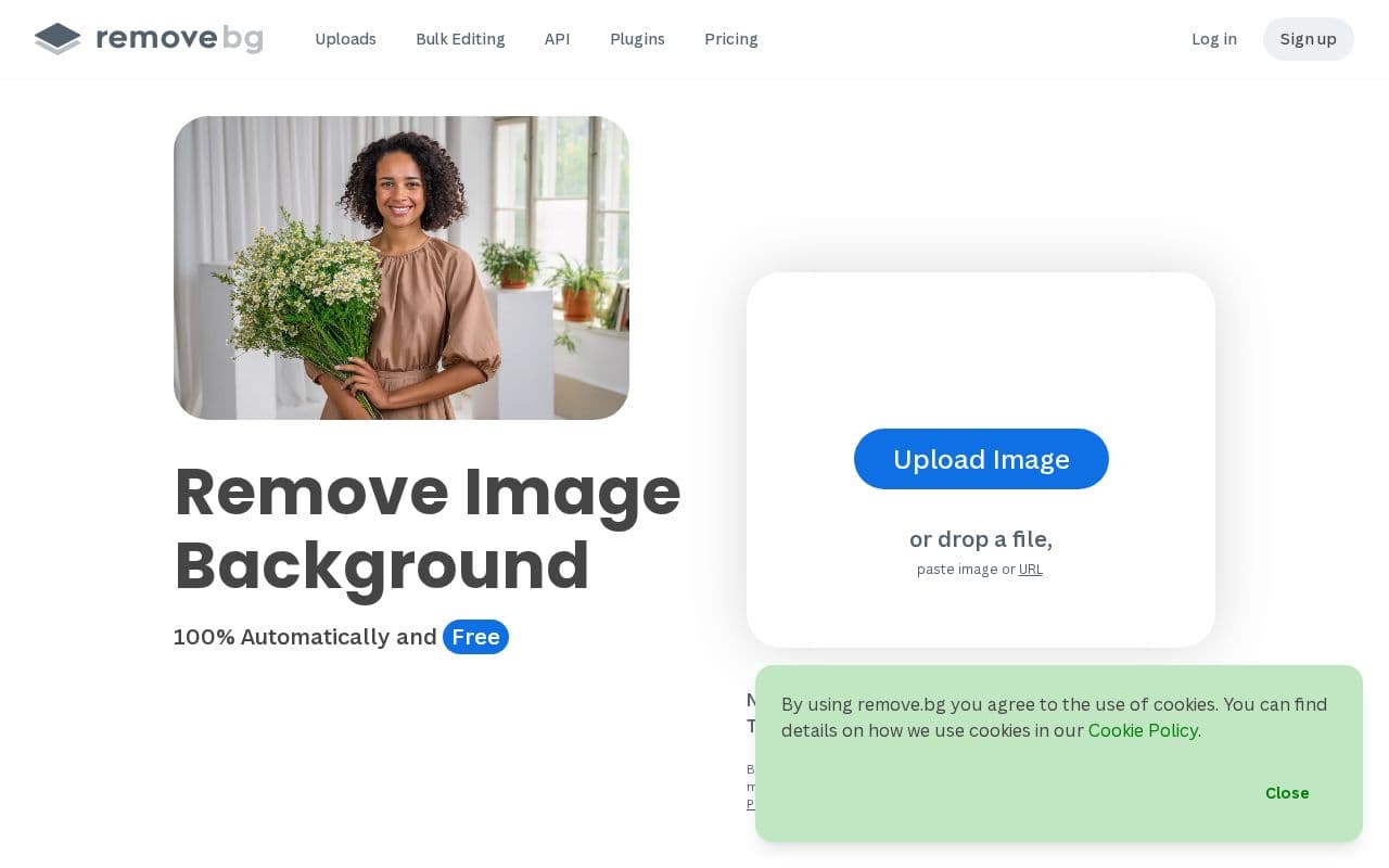 remove.bg screenshot